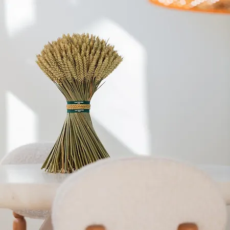 Duplex D'architecte 2 Terrasse Cheminee