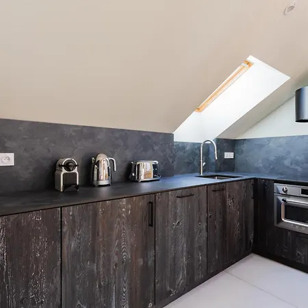 Apartment Duplex D'architecte 2 Terrasse Cheminee *