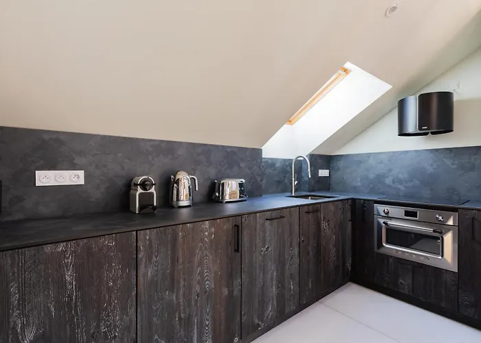 Apartment Duplex D'architecte 2 Terrasse Cheminee *